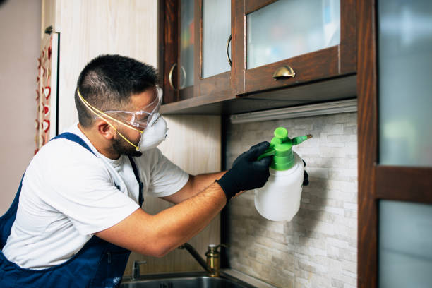 Best Emergency Pest Control  in Spring House, PA