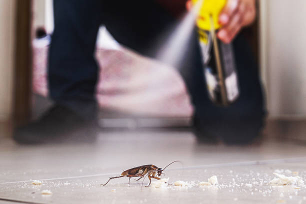 Best Flea Control Services  in Spring House, PA